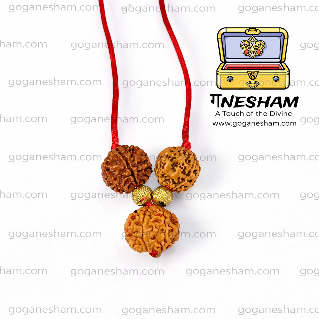 Ganesham Business Growth Rudraksh Kavach | Certified Original Rudraksha with X-Ray Report | Wealth Success Protection Kavach