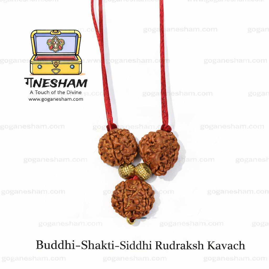 Budhi Shakti Siddhi Rudraksha Kavach Certified by JBN Gem Testing Lab Jaipur | Original Nepali Rudraksha with X-Ray Report | Ganesham Brand - Image 2